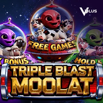 TRIPLE BLAST MOOLAT - GECKO158