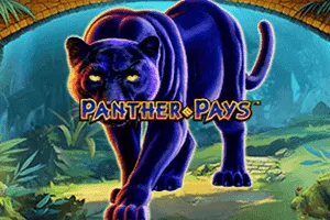 Panther Pays - GECKO158