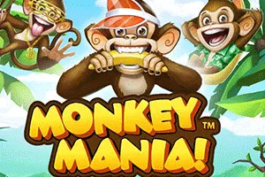 Monkey Mania - GECKO158
