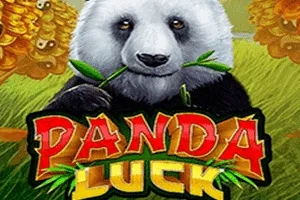 Panda Luck - GECKO158