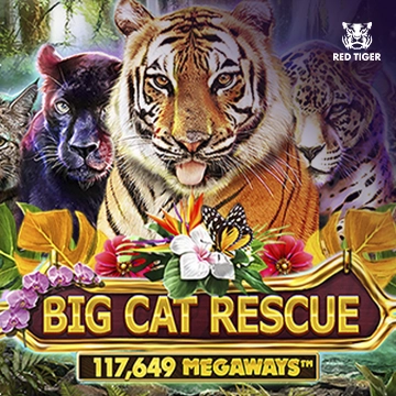 Big Cat Rescue Megaways - GECKO158