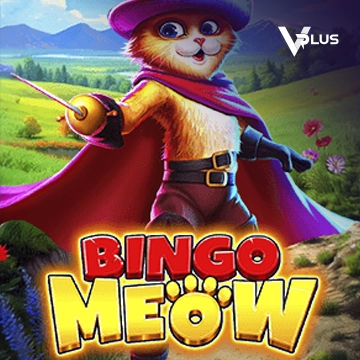 Bingo Meow - GECKO158