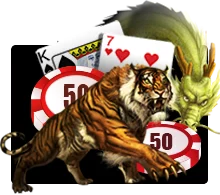 Dragon Tiger - GECKO158