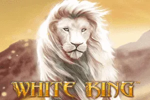 White King - GECKO158