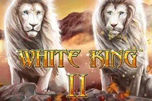 White King II - GECKO158