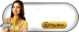 Evolution - GECKO158