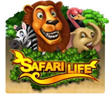 Joker123 : Safari Life - GECKO158