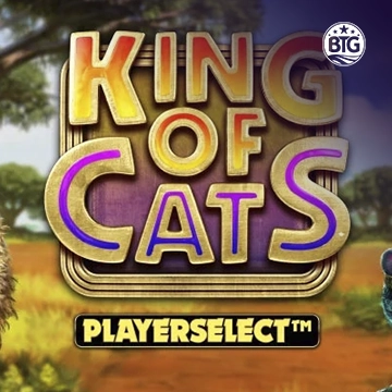 King of Cats - GECKO158