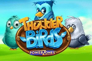 Power Zones: Thunder Birds - GECKO158