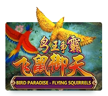 Bird Paradise - GECKO158