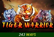 Spadegaming : Tiger Warrior - GECKO158