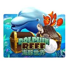 Joker123 : Dolphin Reef - GECKO158