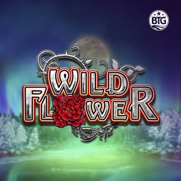 Wild Flower - GECKO158