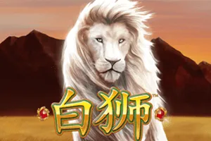 Bai Shi - GECKO158