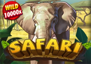 Safari - GECKO158