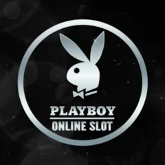 Microgaming : Playboy - GECKO158