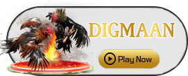 Digman - GECKO158
